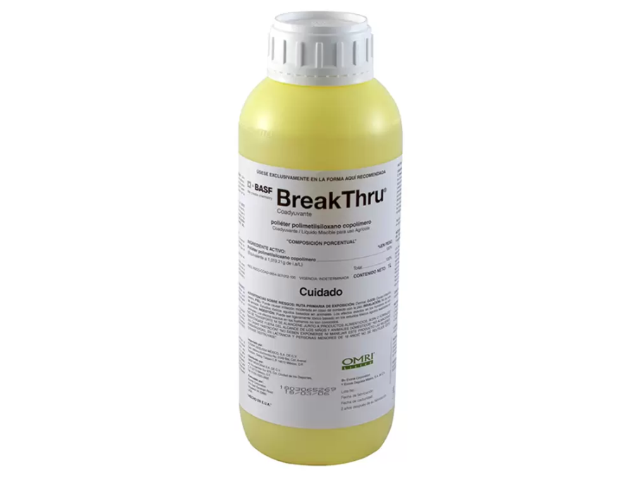 BREAK THRU